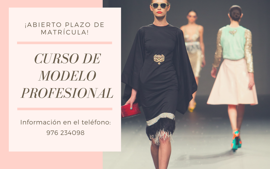 Curso de modelo profesional